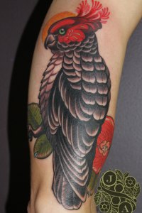 By justin Acca, Gangang Cockatoo tattoo